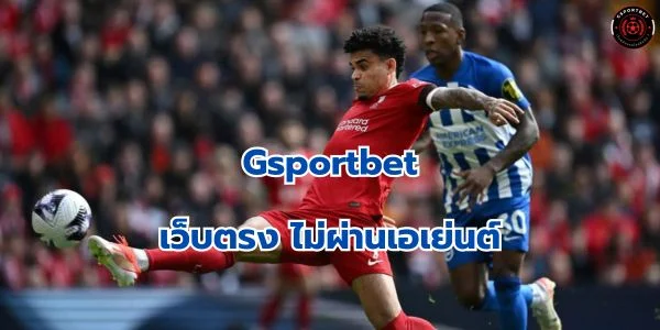 แทงบอล เว็บตรง